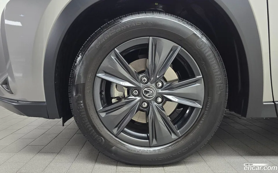 Lexus UX 300h 2.0 2WD 2025 — миниатюра 5