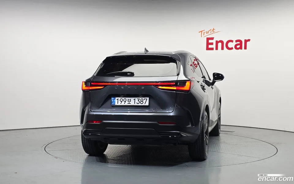 Lexus NX 350h 2024 — миниатюра 4