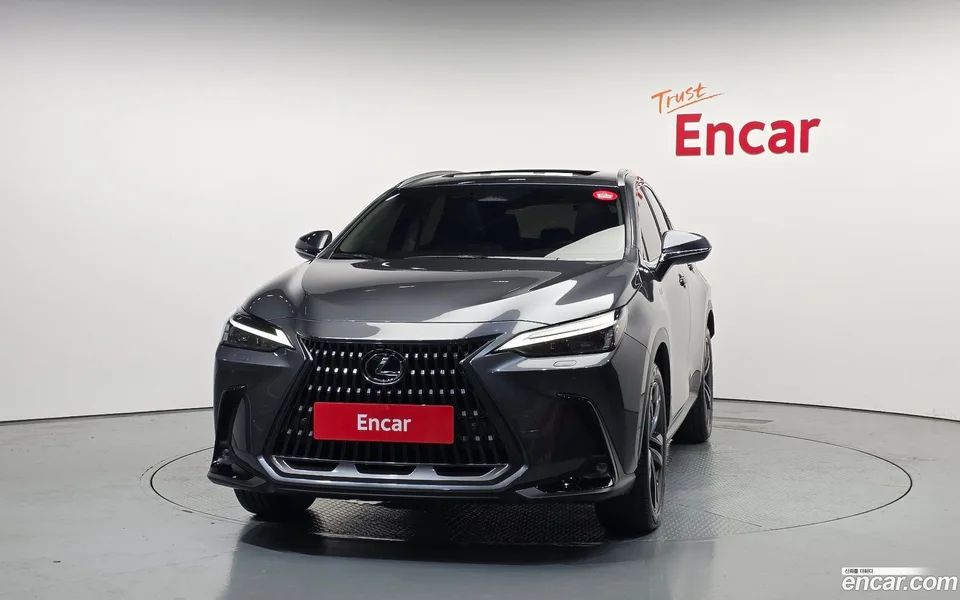 Lexus NX 350h 2024 — миниатюра 3