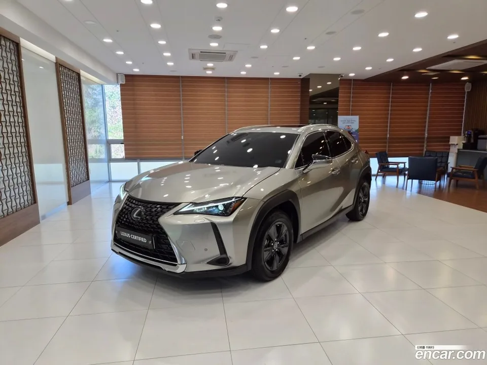 Lexus UX 250h 2024