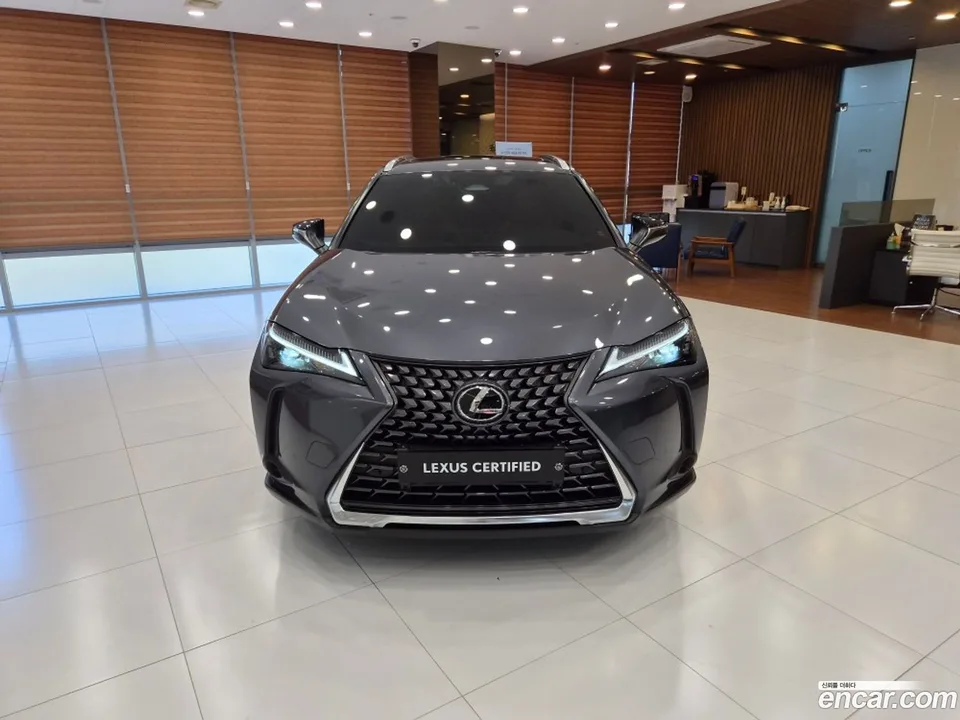 Lexus UX 300h 2.0 2WD 2024 — миниатюра 3