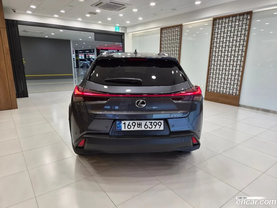 Lexus UX 300h 2.0 2WD 2024 — миниатюра 4