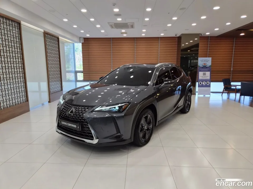 Lexus UX 300h 2024