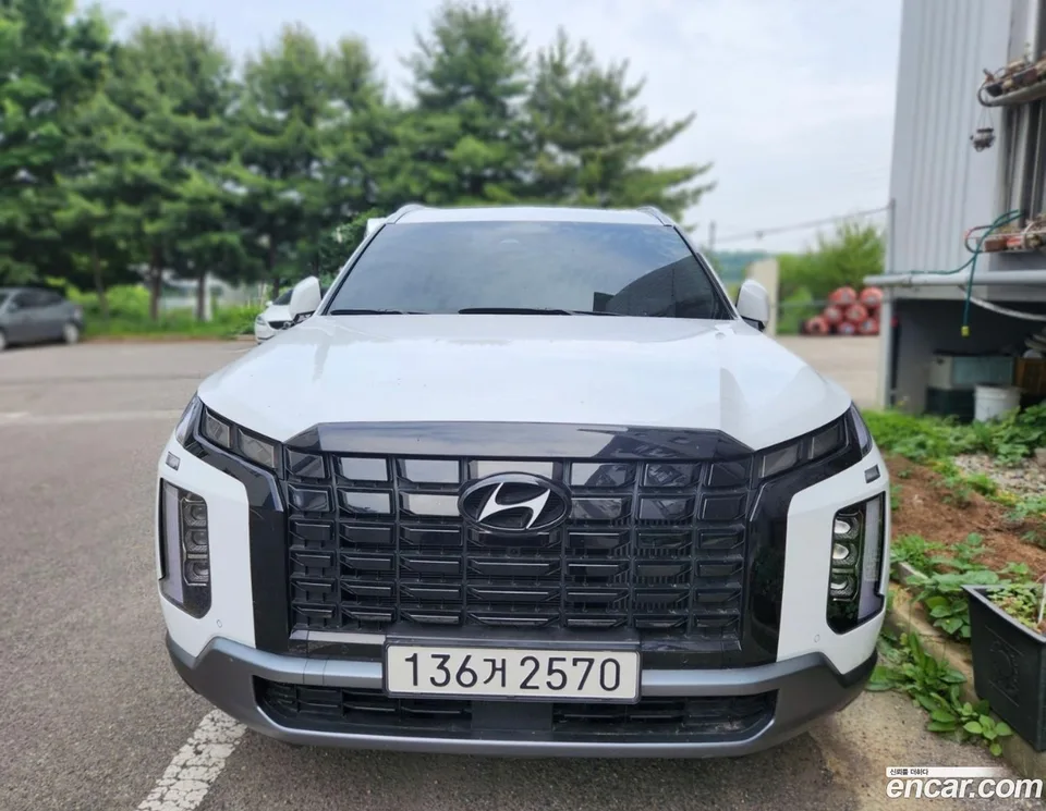Hyundai Palisade 2.2 4WD 2024 — photo 1, buy with delivery to Moscow