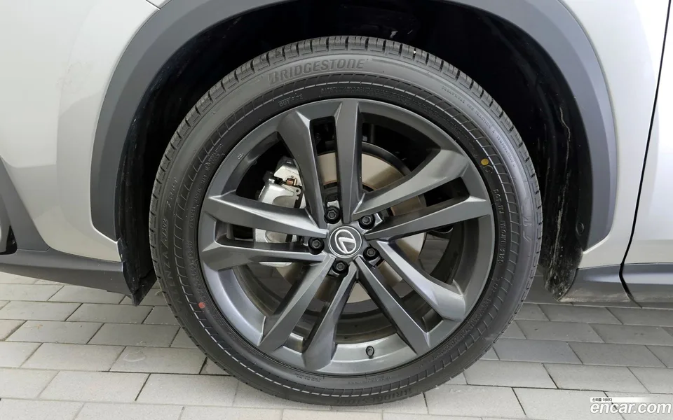 Lexus NX 350h 2025 — миниатюра 2