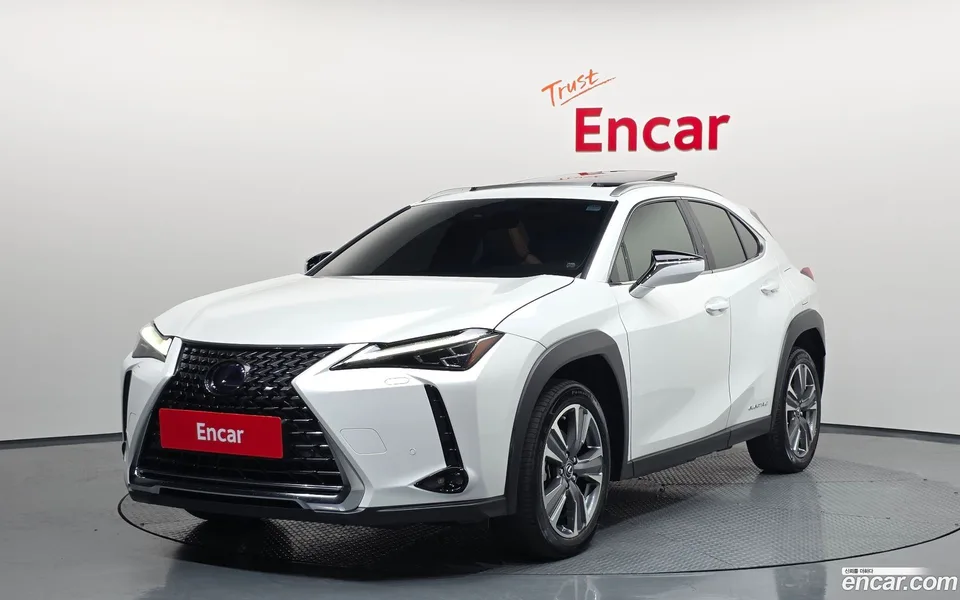 Lexus UX 300e 2WD 2022 — photo 1, buy with delivery to Moscow