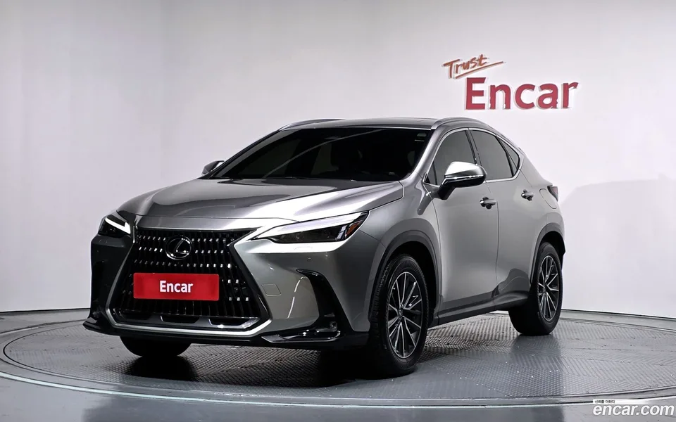 Lexus NX 450h+ 2023 — фото 1, купить с доставкой в Москву