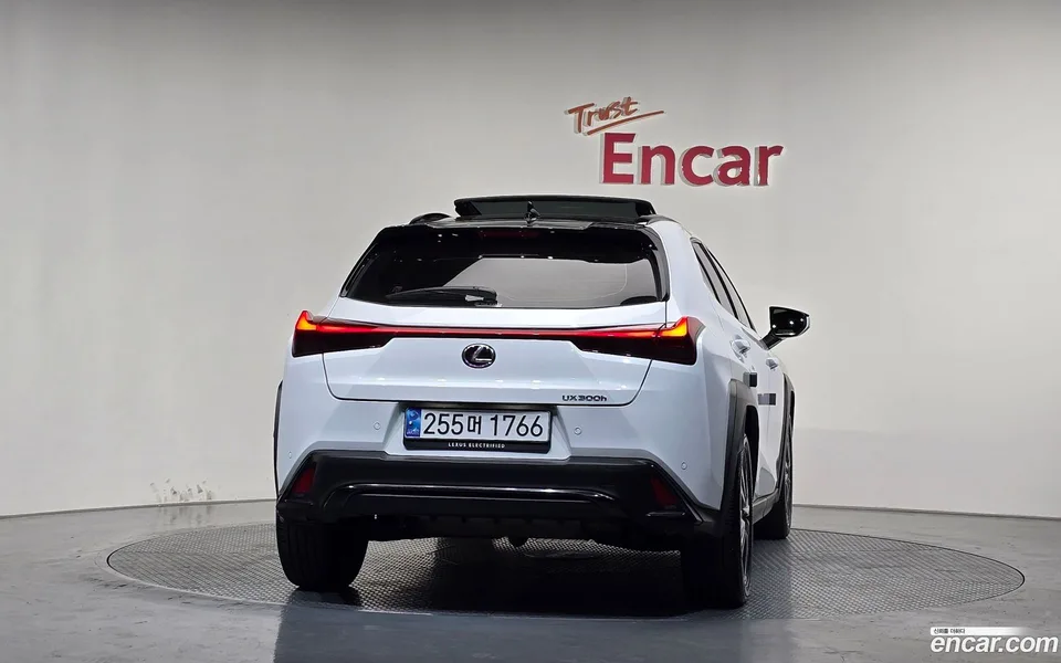 Lexus UX 300h 2.0 F-Sport 2WD 2024 — thumbnail 4