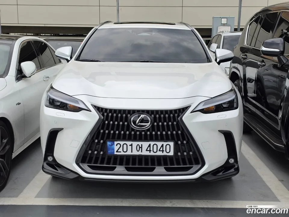 Lexus NX 350h 2025 — photo 1, buy with delivery to Moscow