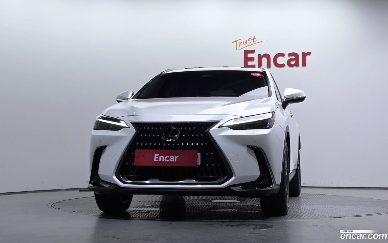 Lexus NX 350h 2024 — 3