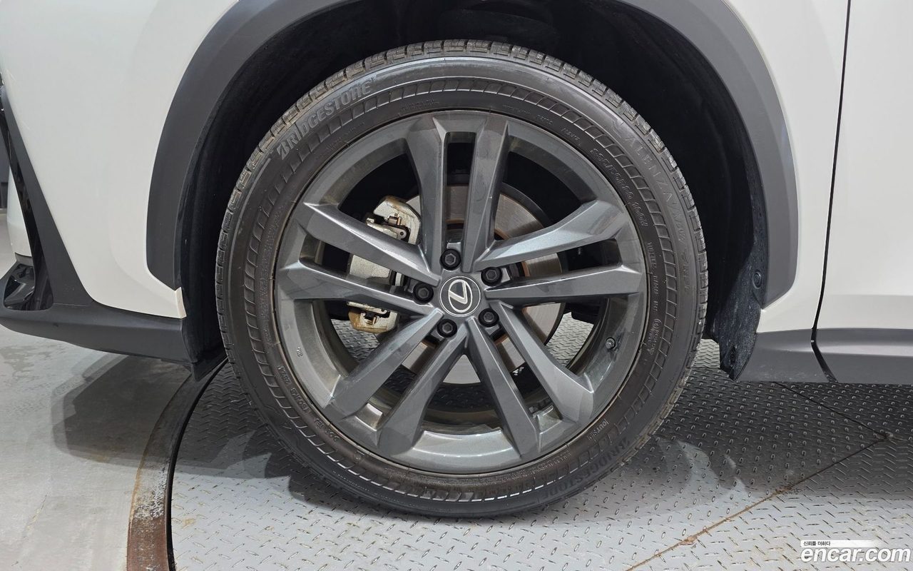 Lexus NX 350h 2024 — 5