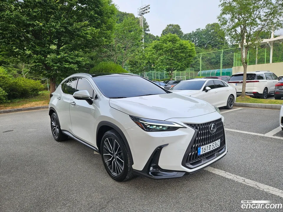 Lexus NX 350h 2024 — миниатюра 4