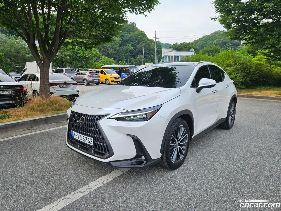Lexus NX 350h 2024 — фото 1, купить с доставкой в Москву