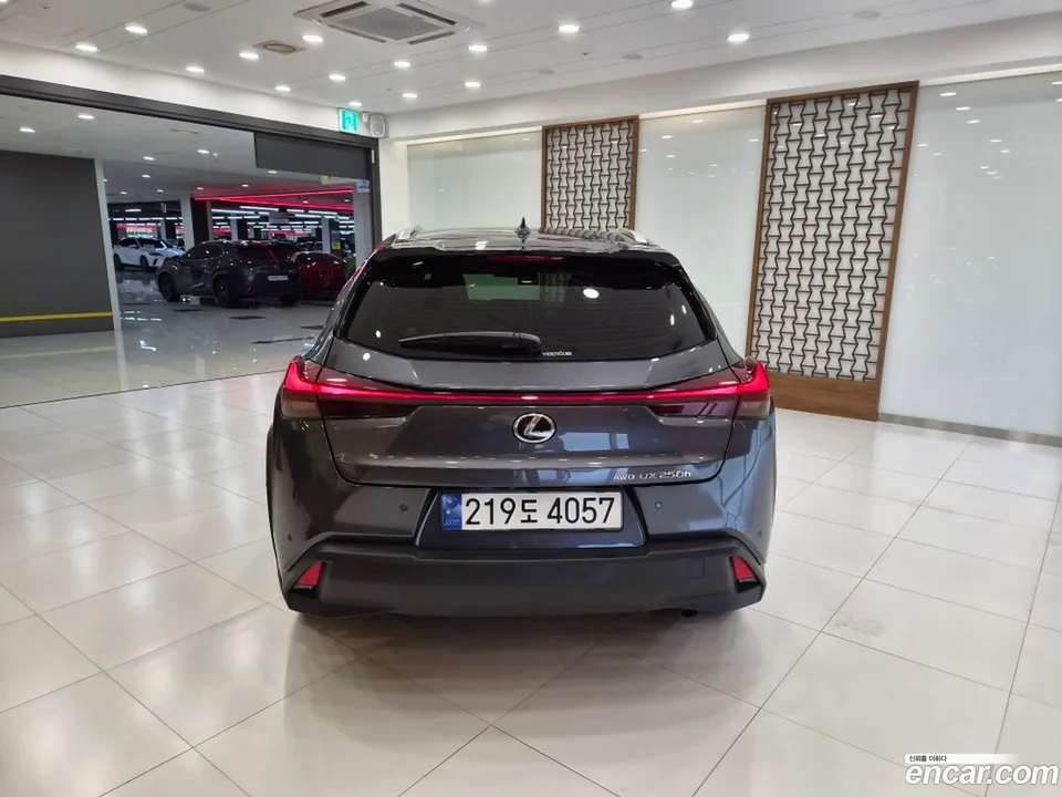 Lexus UX 250h 2.0 AWD 2024 — thumbnail 4