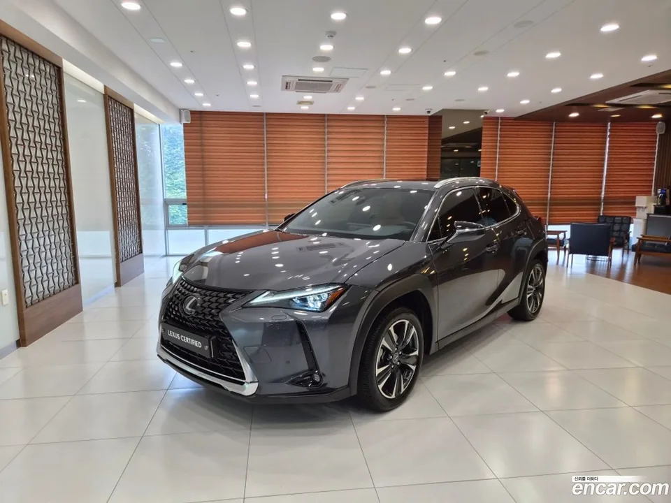 Lexus UX 250h 2.0 AWD 2024 — photo 1, buy with delivery to Moscow