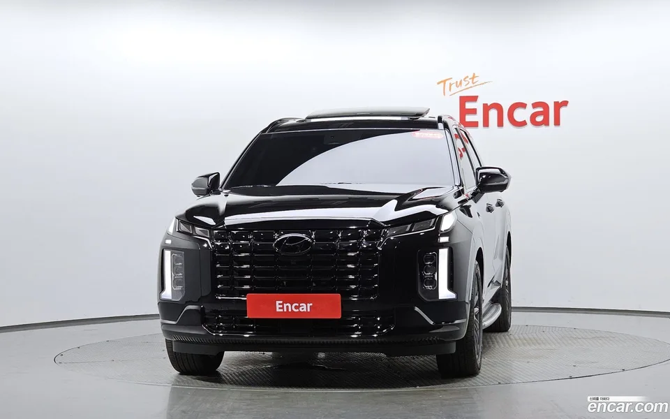 Hyundai Palisade 3.8 4WD 2024 — миниатюра 3