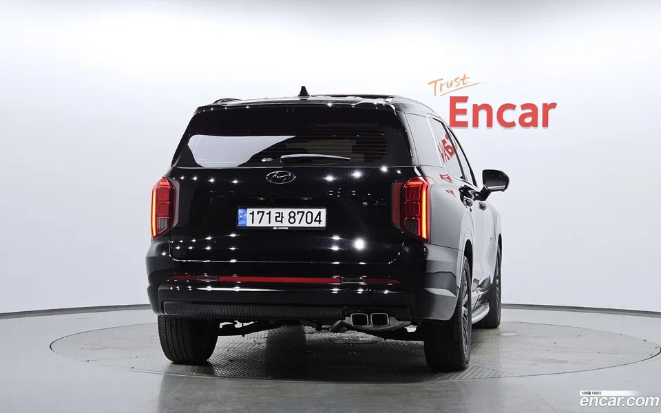 Hyundai Palisade 3.8 4WD 2024 — миниатюра 4
