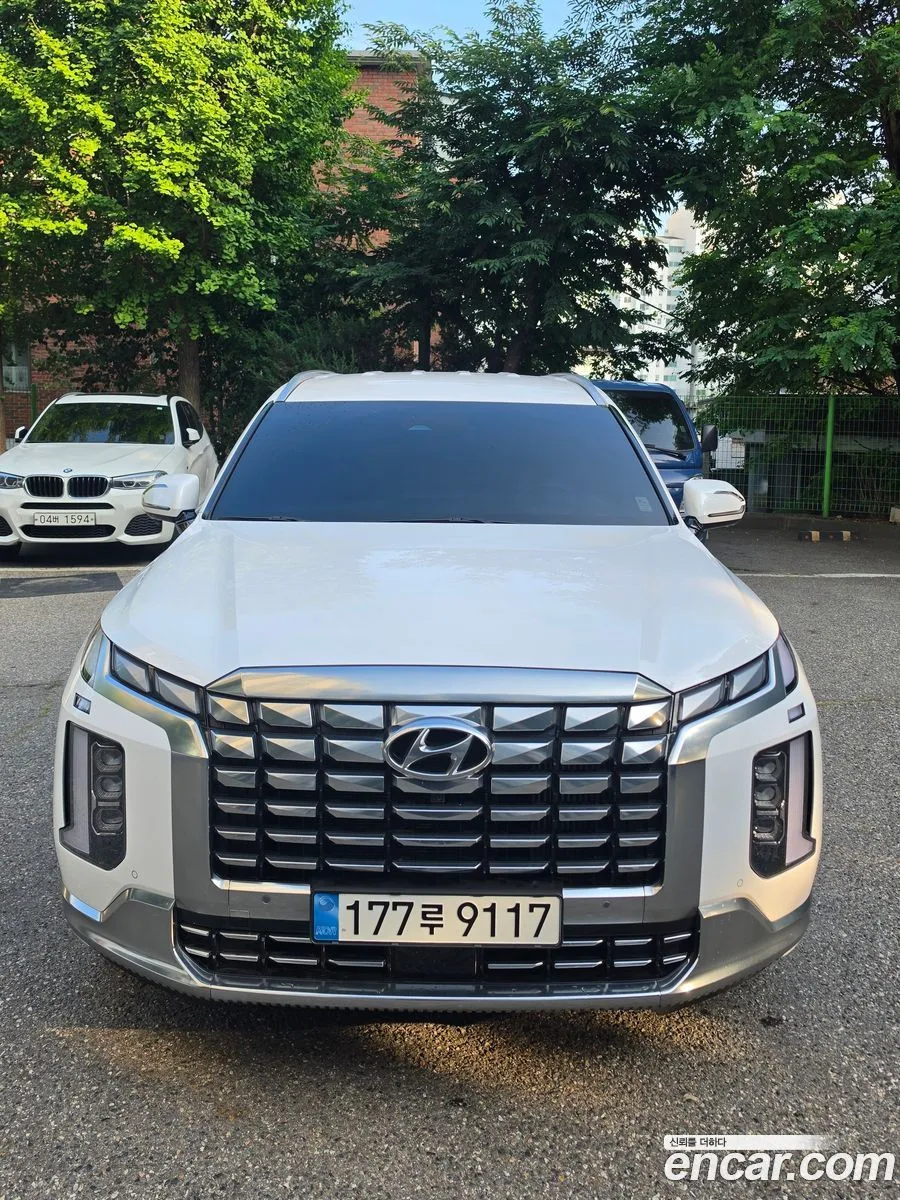 Hyundai Palisade 2.2 4WD 2023 — photo 1, buy with delivery to Moscow