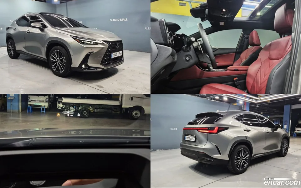 Lexus NX 350h 2024 — photo 1, buy with delivery to Moscow
