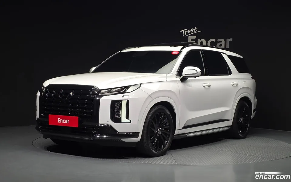 Hyundai Palisade 2.2 4WD 2024 — photo 1, buy with delivery to Moscow