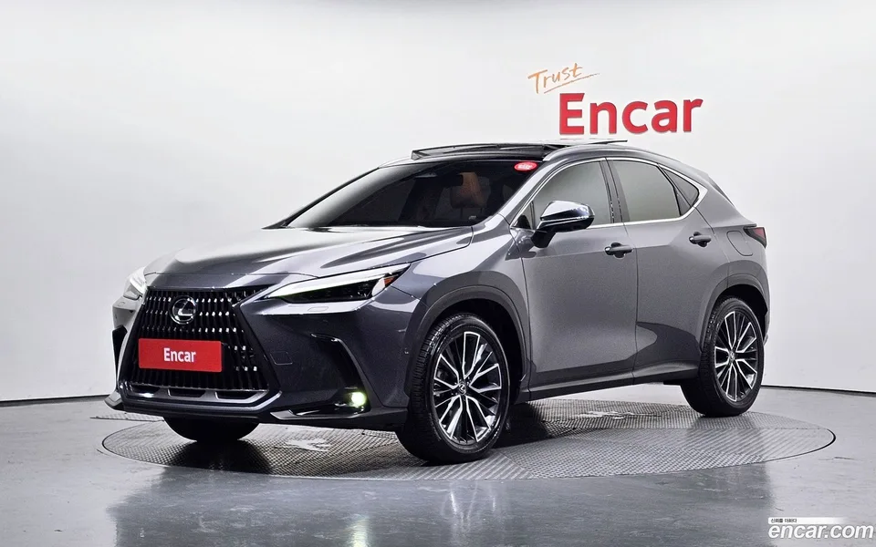 Lexus NX 350h 2023 — photo 1, buy with delivery to Moscow