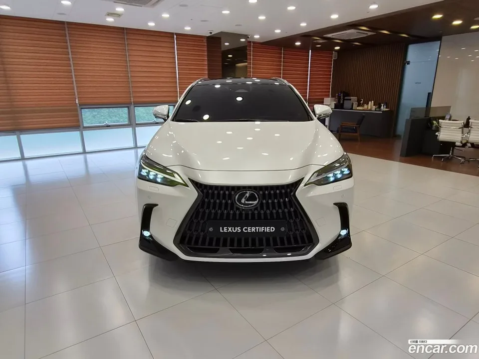 Lexus NX 350h 2022 — миниатюра 3
