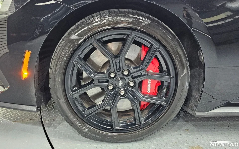Ford Mustang 2.3 2024 — миниатюра 2
