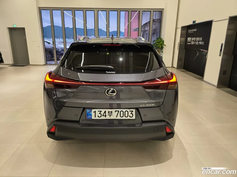 Lexus UX 300h 2.0 2WD 2025 — thumbnail 4