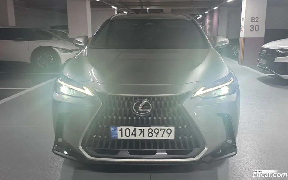 Lexus NX 450h+ 2024 — photo 1, buy with delivery to Moscow