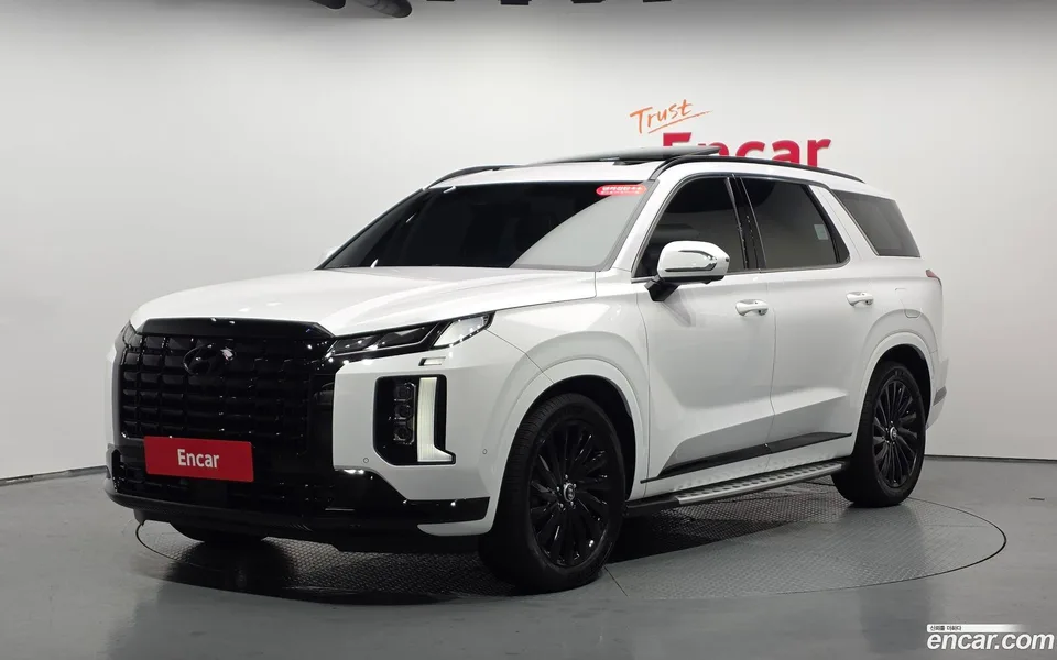 Hyundai Palisade 2.2 4WD 2024 — photo 1, buy with delivery to Moscow