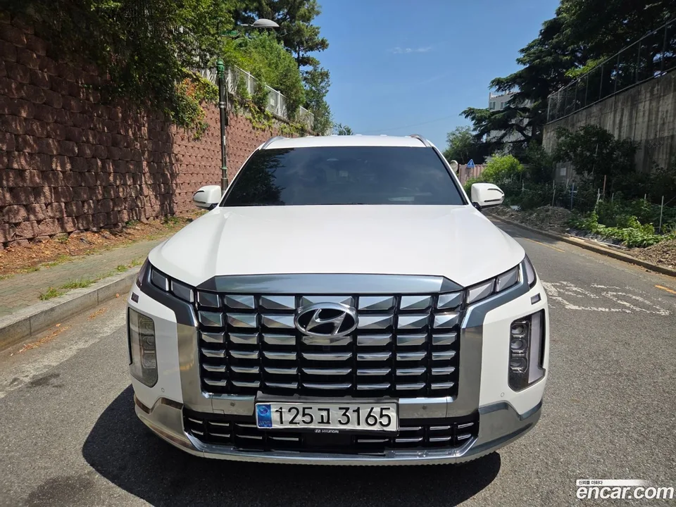 Hyundai Palisade 3.8 2WD 2023 — photo 1, buy with delivery to Moscow