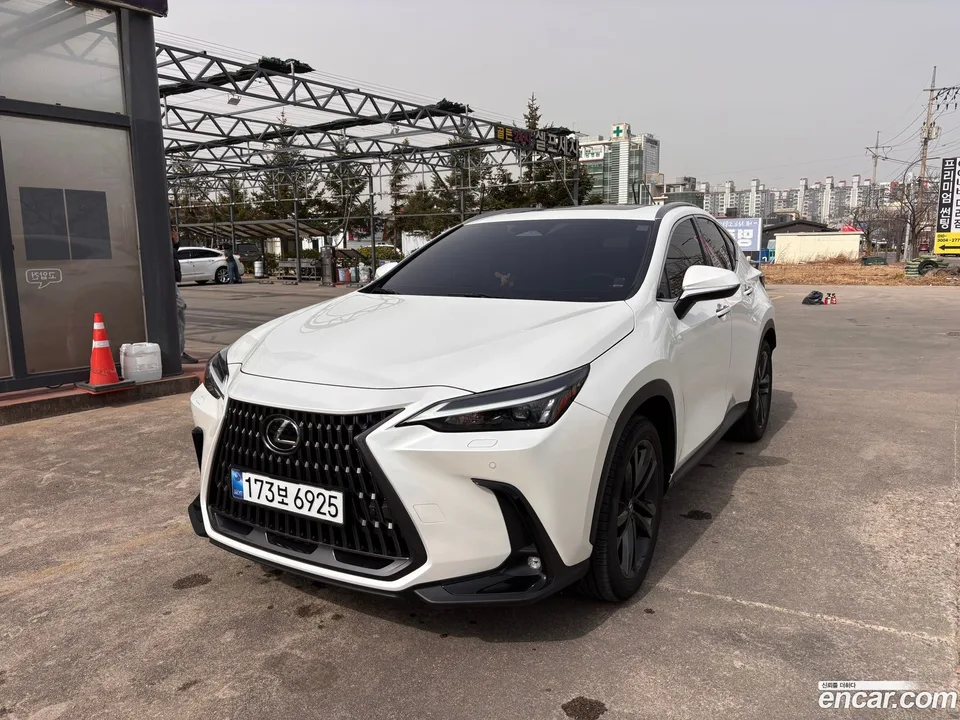 Lexus NX 350h 2024 — photo 1, buy with delivery to Moscow