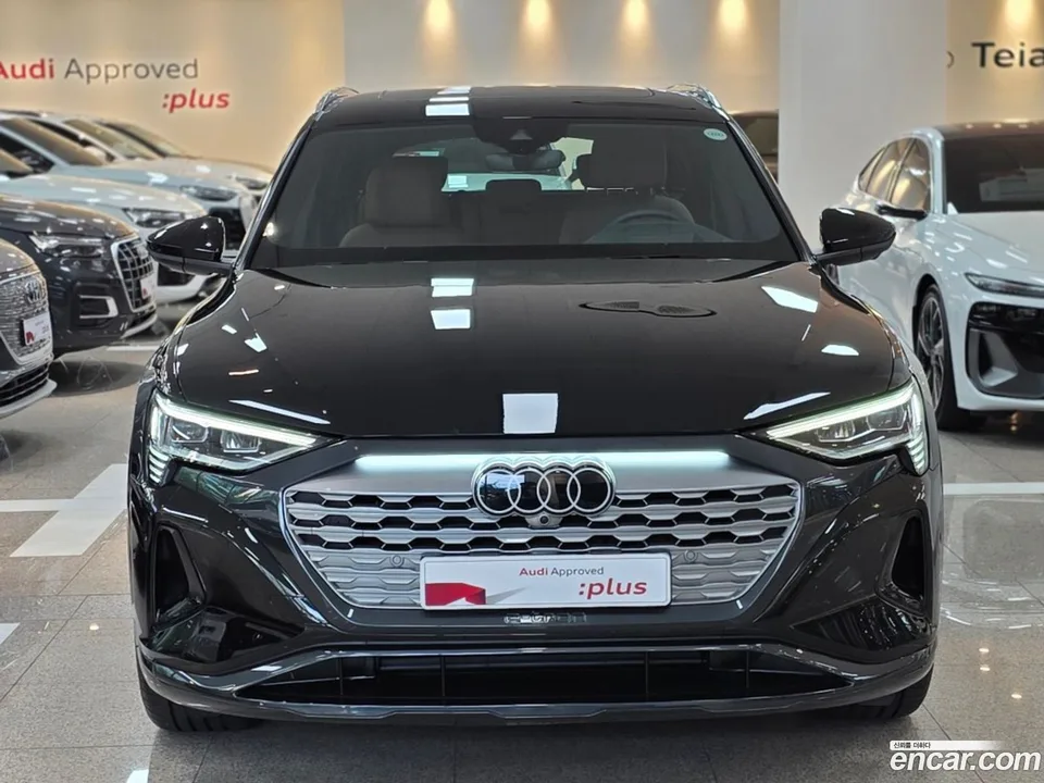 Audi Q8 e-tron 55 2024 — thumbnail 3
