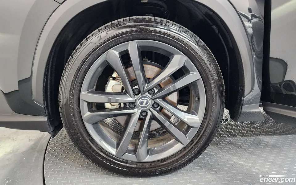 Lexus NX 350h 2025 — thumbnail 5