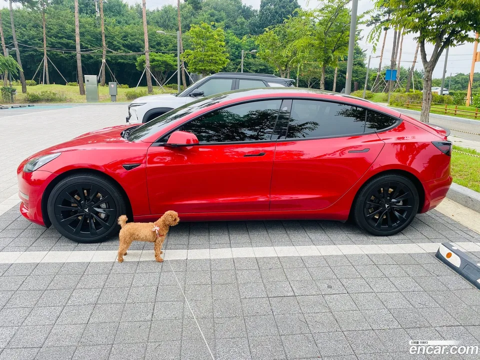 Tesla Model 3 AWD 2022 — photo 1, buy with delivery to Moscow