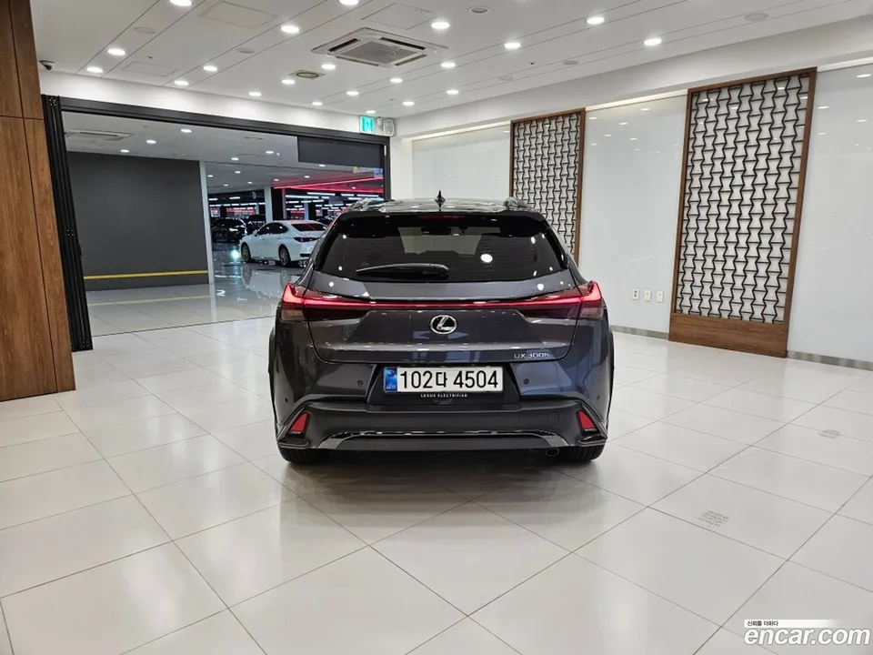 Lexus UX 300h 2.0 F-Sport 2WD 2025 — thumbnail 4