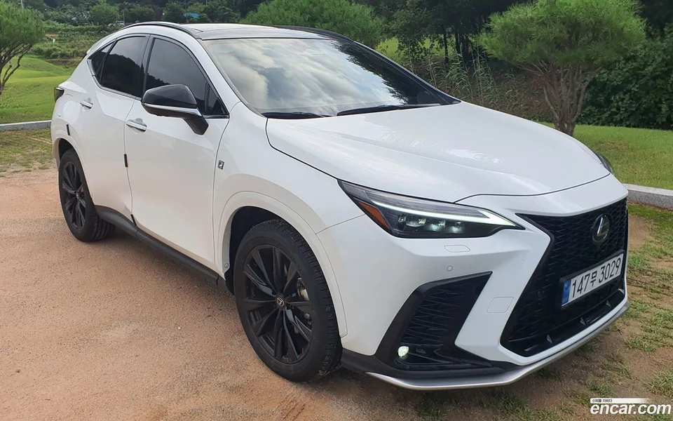 Lexus NX 450h+ F-Sport 2025 — photo 1, buy with delivery to Moscow
