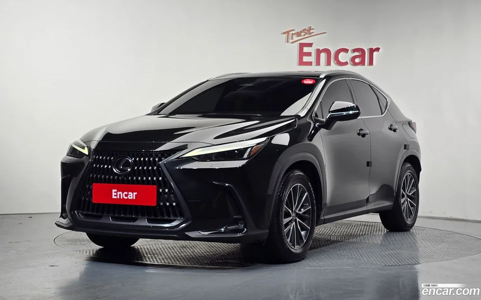 Lexus NX 450h+ 2023 — photo 1, buy with delivery to Moscow