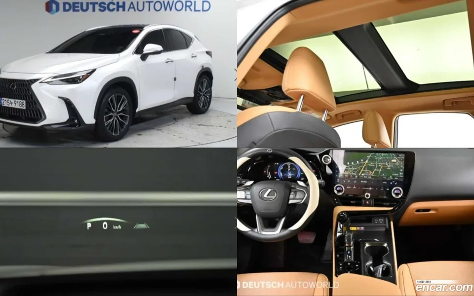 Lexus NX 350h 2024 — photo 1, buy with delivery to Moscow