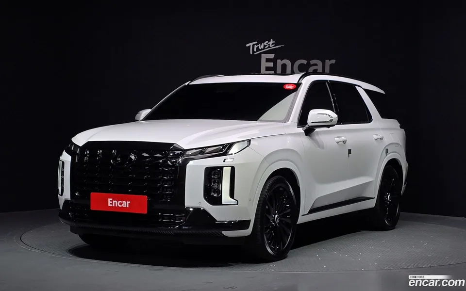 Hyundai Palisade 3.8 2WD 2024 — photo 1, buy with delivery to Moscow