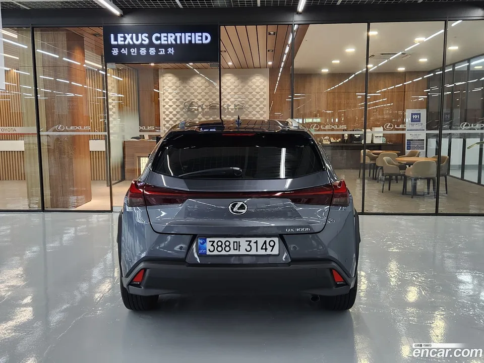 Lexus UX 300h 2.0 2WD 2025 — миниатюра 4