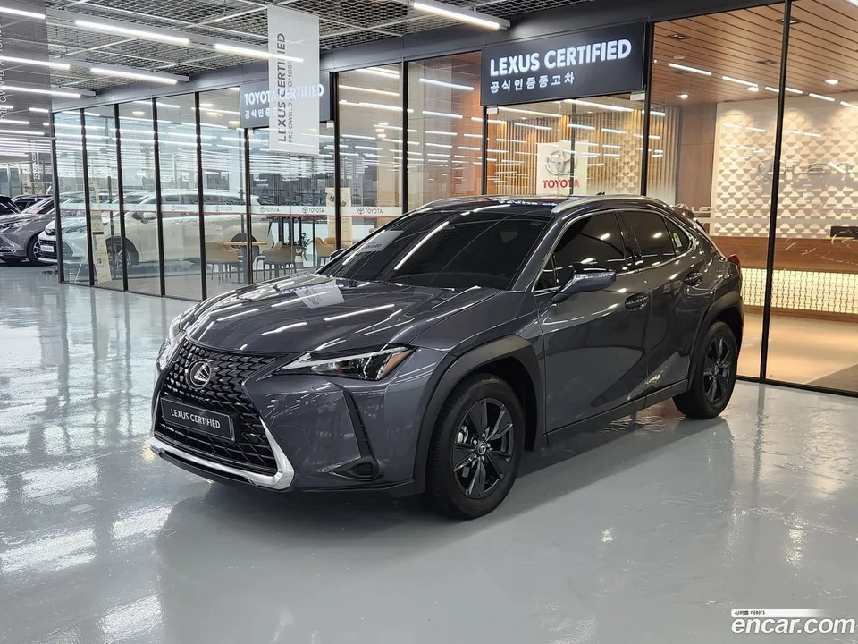 Lexus UX 300h 2025