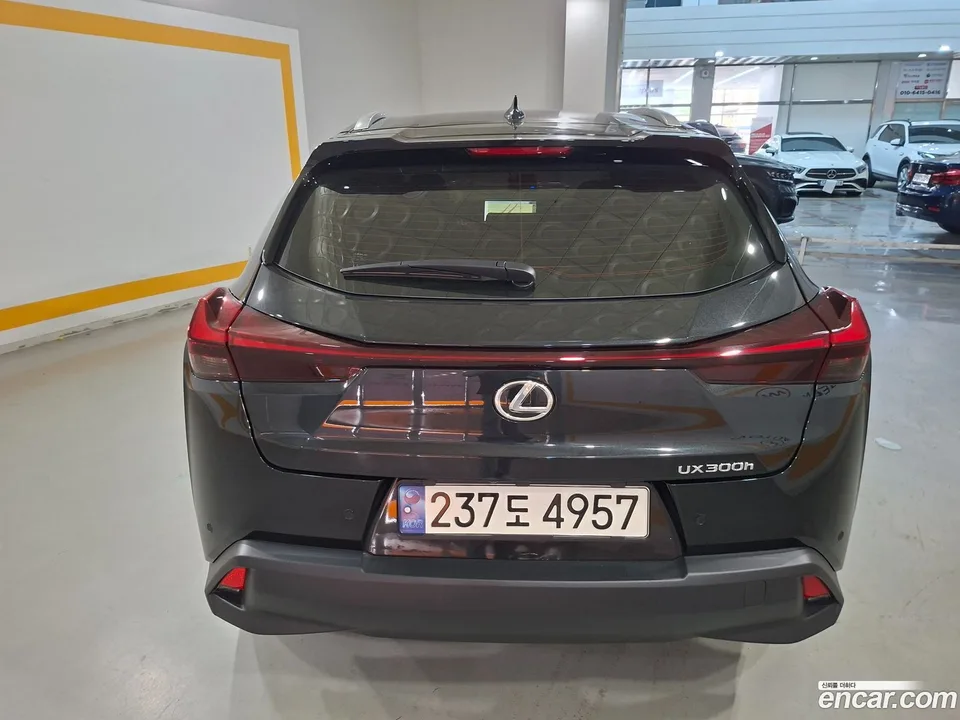 Lexus UX 300h 2.0 2WD 2024 — thumbnail 4