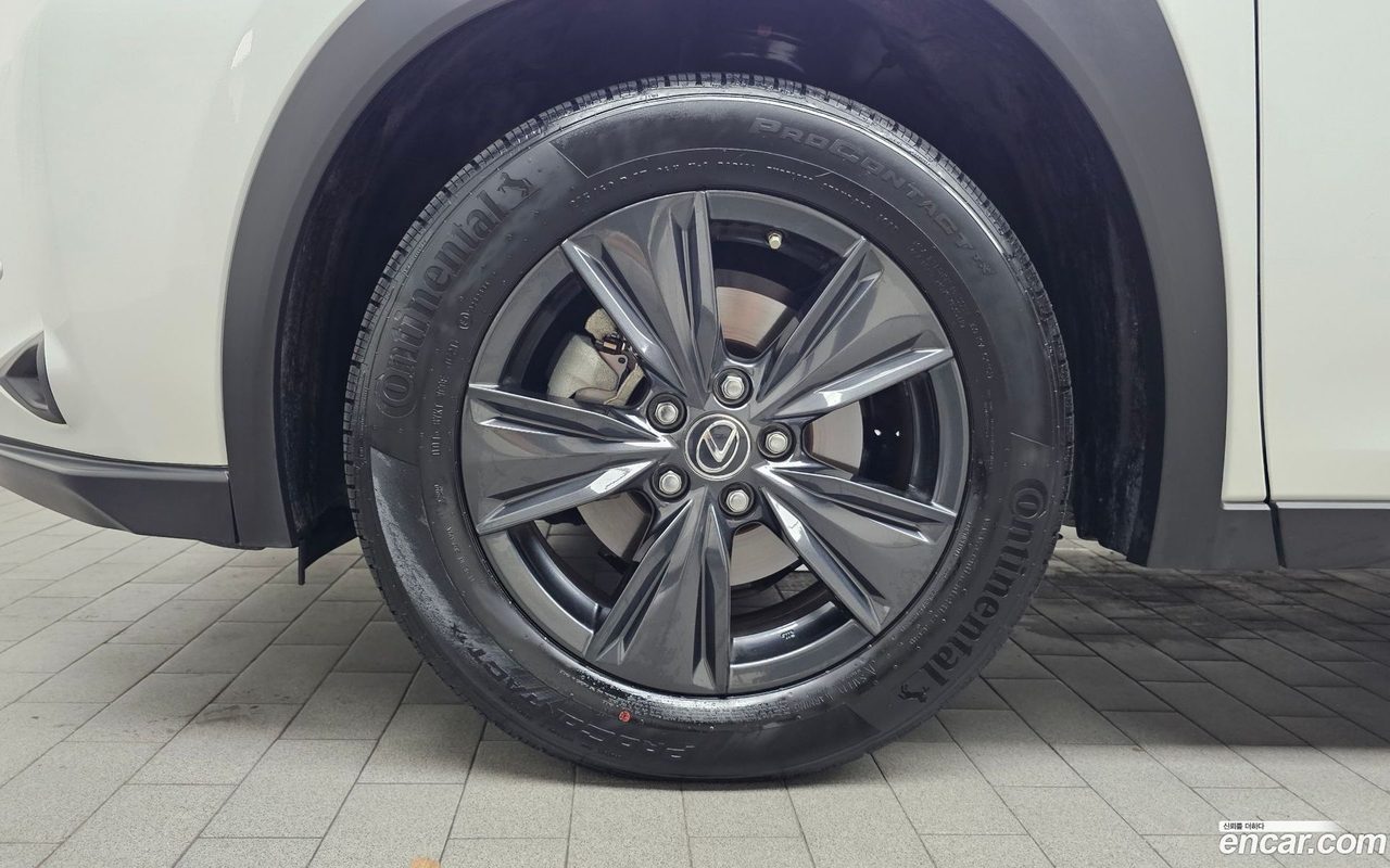 Lexus UX 250h 2023 — 5