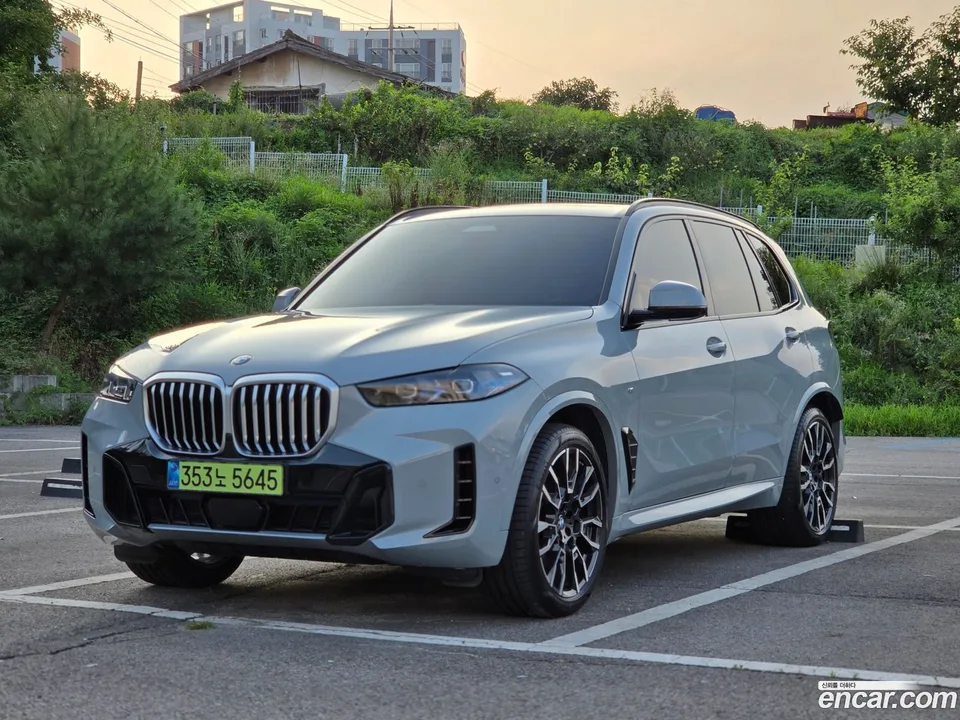 BMW X5 xDrive 30d M 2025 — photo 1, buy with delivery to Moscow