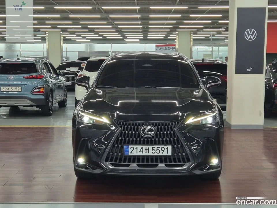 Lexus NX 350h 2025 — thumbnail 3