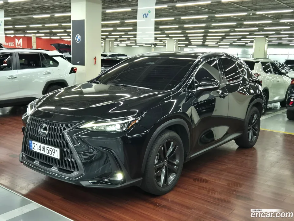 Lexus NX 350h 2025 — photo 1, buy with delivery to Moscow