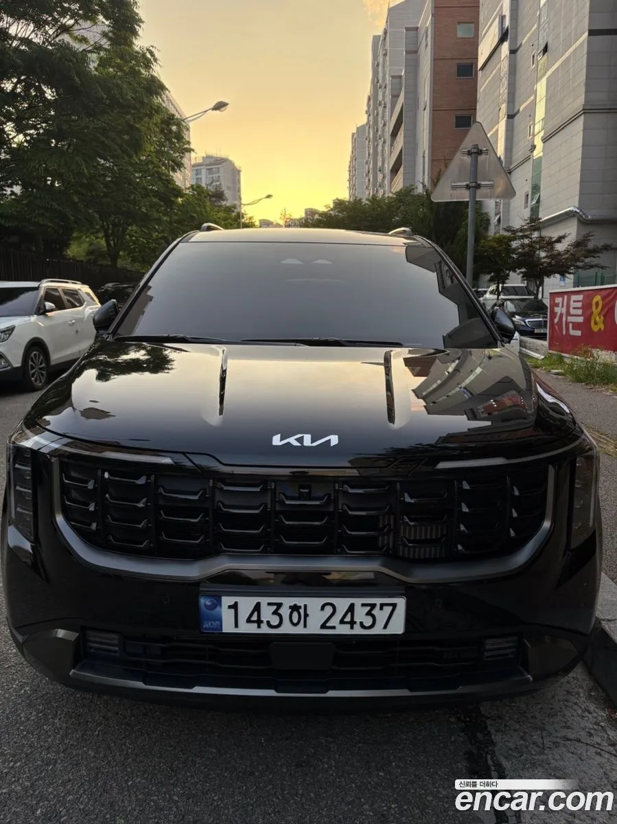 Kia Carnival HEV 9 2024 — миниатюра 4
