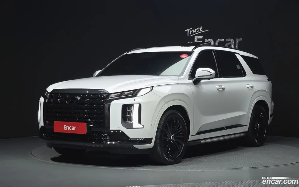 Hyundai Palisade 3.8 4WD 2024 — photo 1, buy with delivery to Moscow
