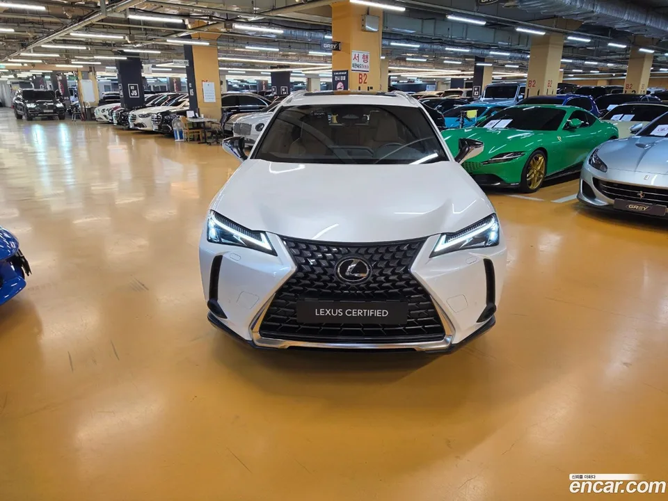Lexus UX 300h 2.0 2WD 2025 — миниатюра 3